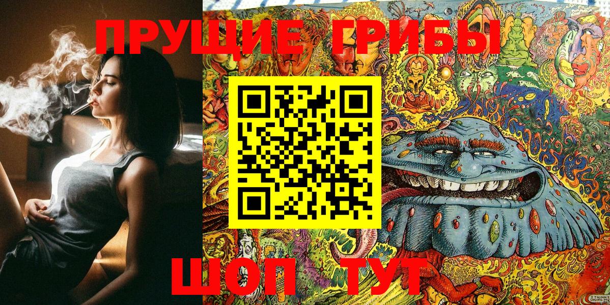 Псилоцибиновые грибы Cubensis Курган